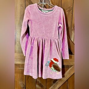 Mini Boden Twirly Velour Appliqué Dress
Almond Pink Robin size 9-10y